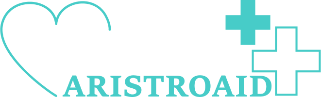 danslamer logo image